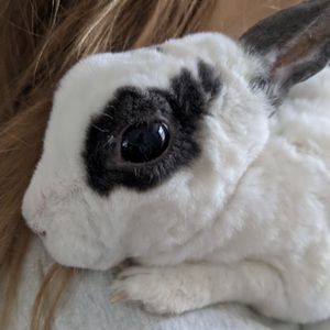 Meet your Posher, Nia